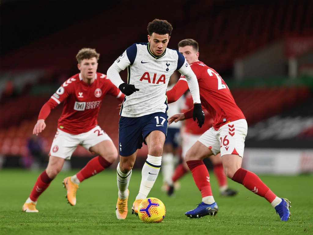 球的乐趣 球的乐趣